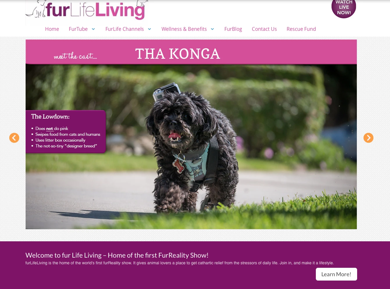 fur Life Living website featuring a “meet the cast” hero with a dog and a playful magenta brand system